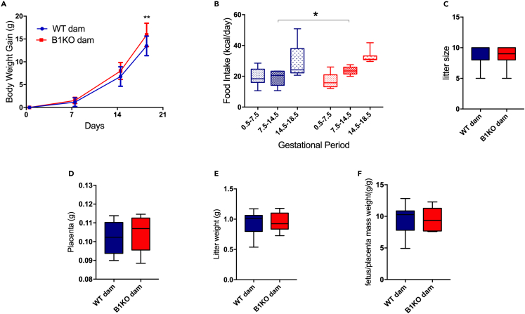 Figure 2