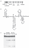 Figure 7.