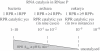 Figure 1.