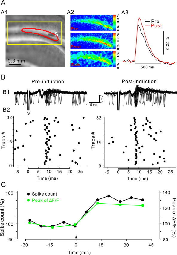 Figure 1.