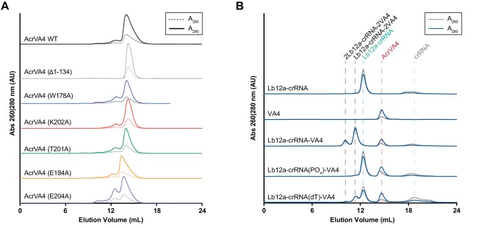 Figure 2—figure supplement 2.