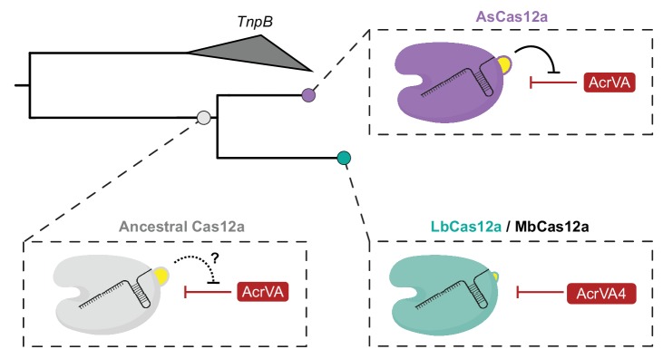 Figure 7.