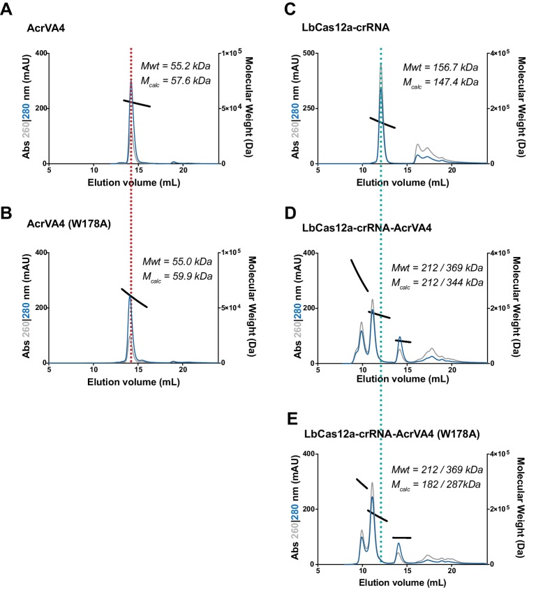 Figure 4—figure supplement 2.