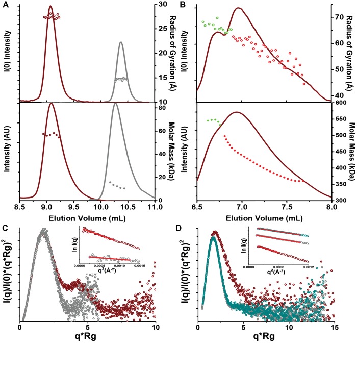 Figure 5—figure supplement 1.