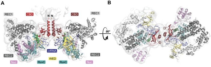 Figure 3.