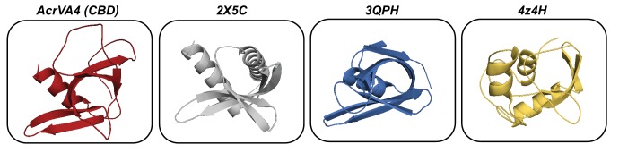 Figure 1—figure supplement 3.