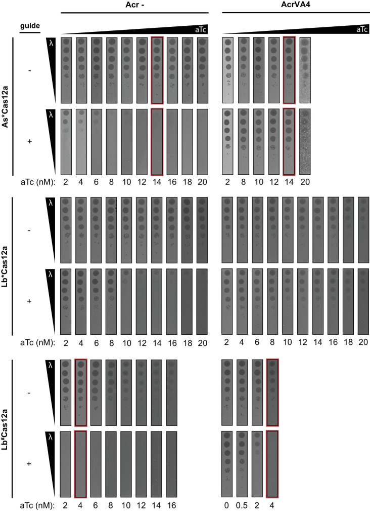 Figure 6—figure supplement 3.