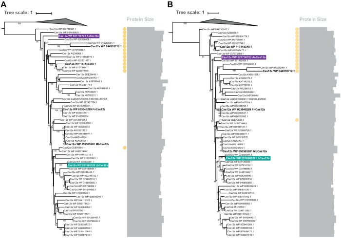 Figure 6—figure supplement 5.