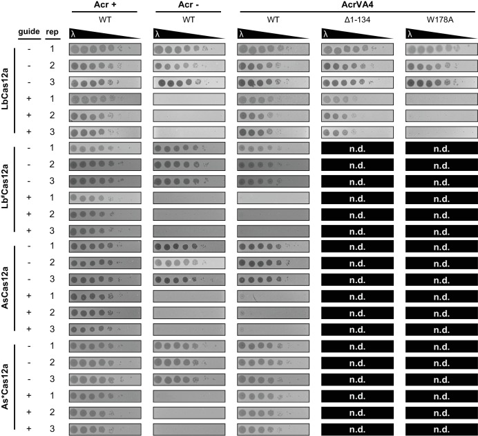 Figure 5—figure supplement 2.