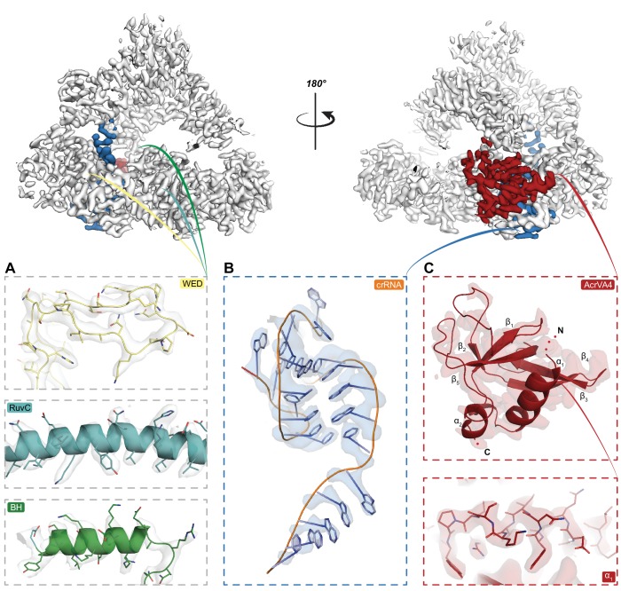 Figure 1—figure supplement 2.