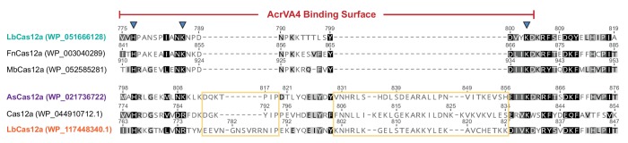 Figure 6—figure supplement 1.