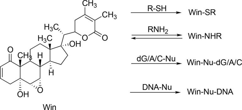 Scheme 1