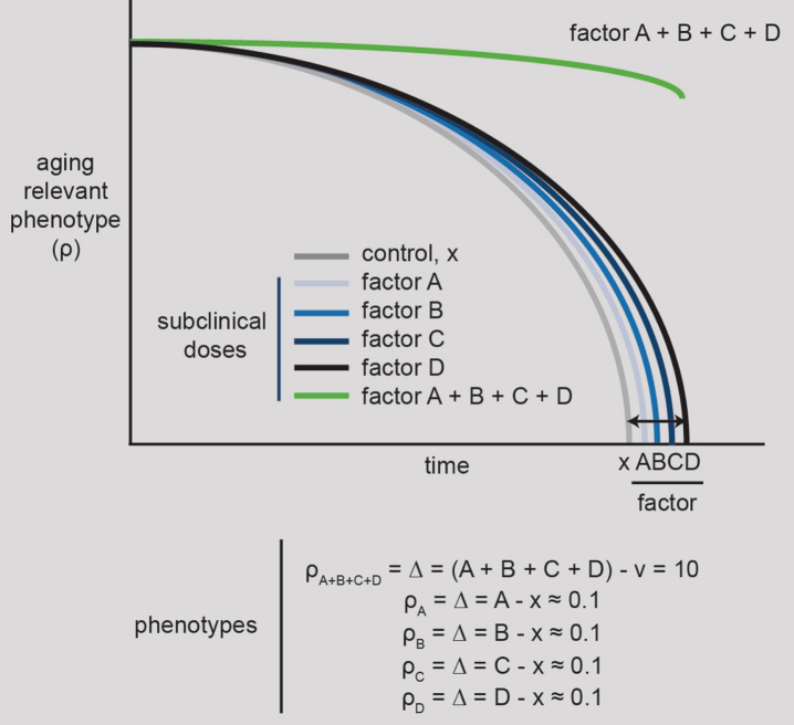 Fig.1