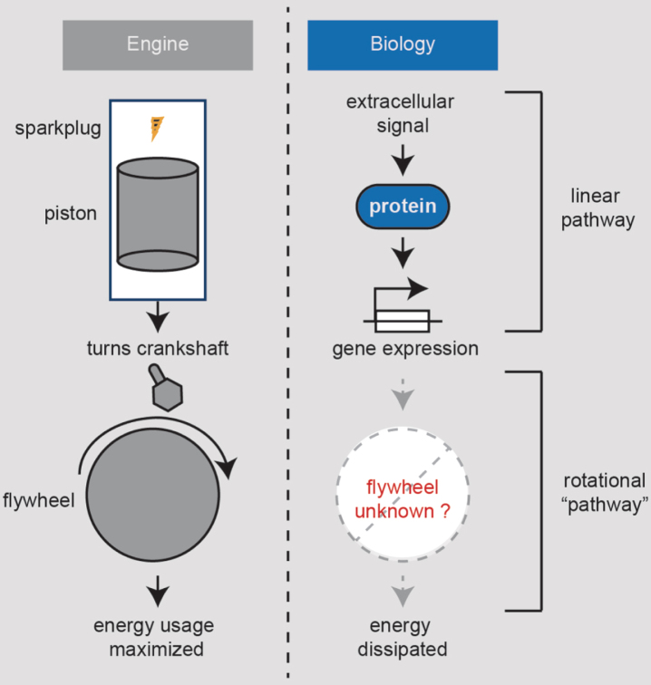 Fig.3