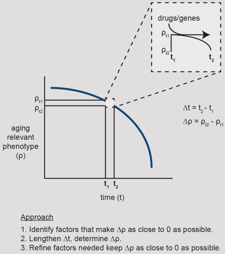 Fig.2