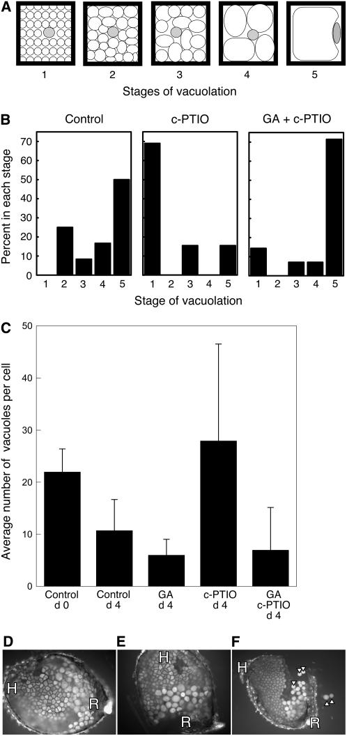 Figure 10.