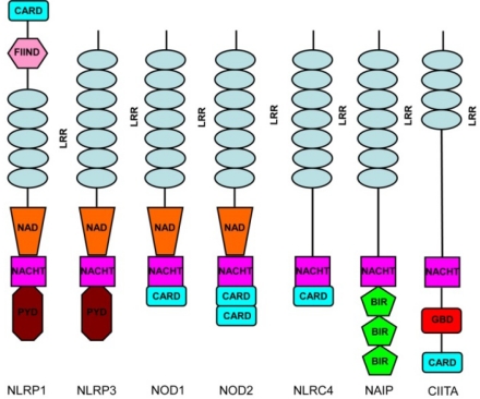 Figure 1.