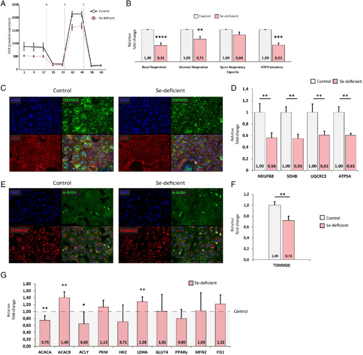 EJHF-1644-FIG-0002-c