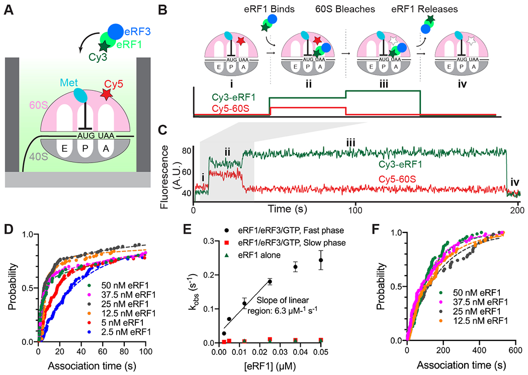 Fig. 2: