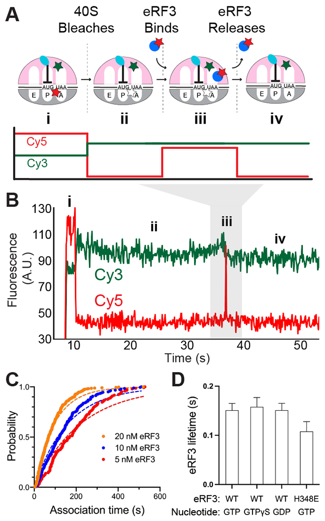 Fig. 3: