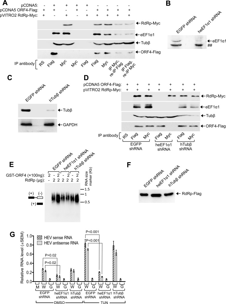 Fig 9