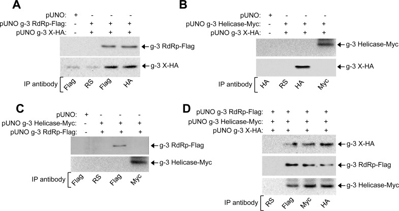 Fig 11