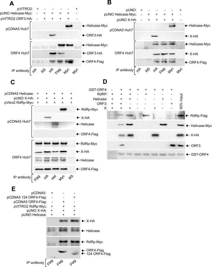 Fig 6