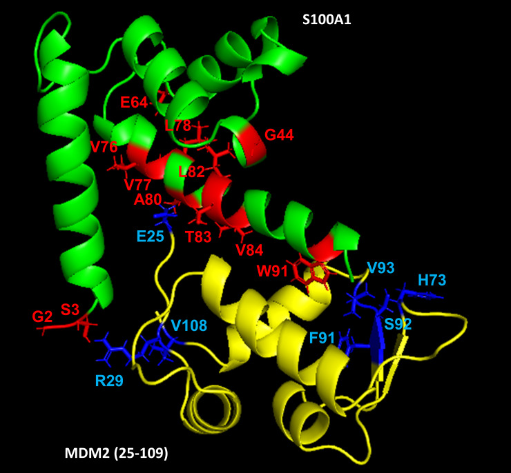 Fig 3