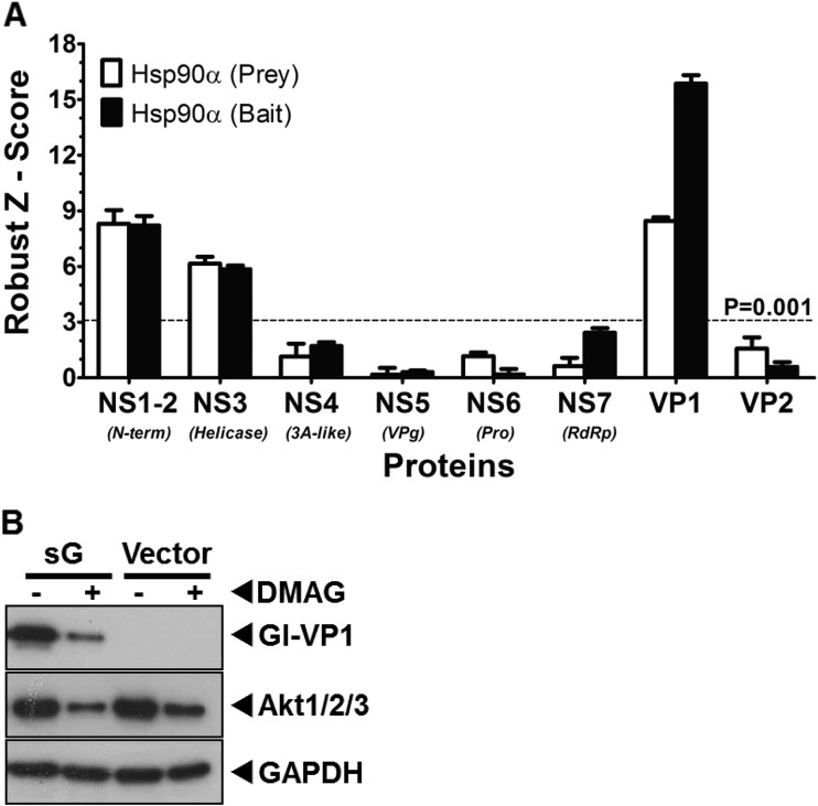 FIG 9