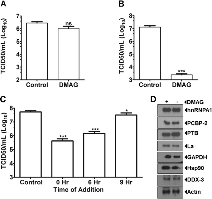 FIG 4