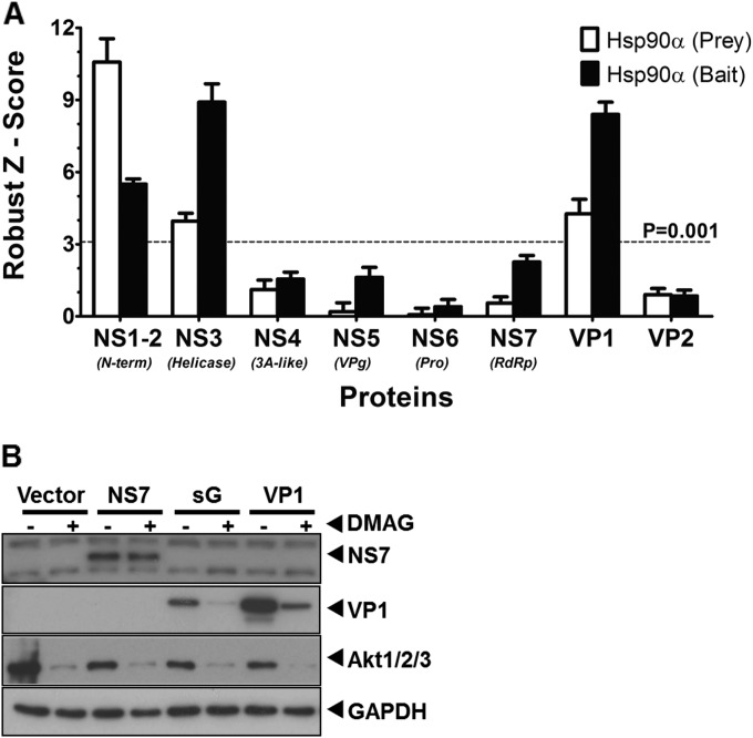 FIG 6