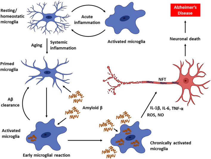 FIGURE 1