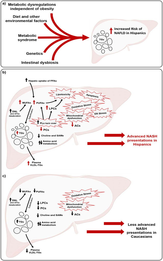 graphic file with name nihms-1763478-f0001.jpg