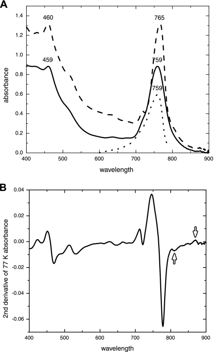 FIG. 2.