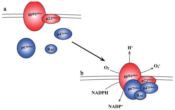 FIG. 1