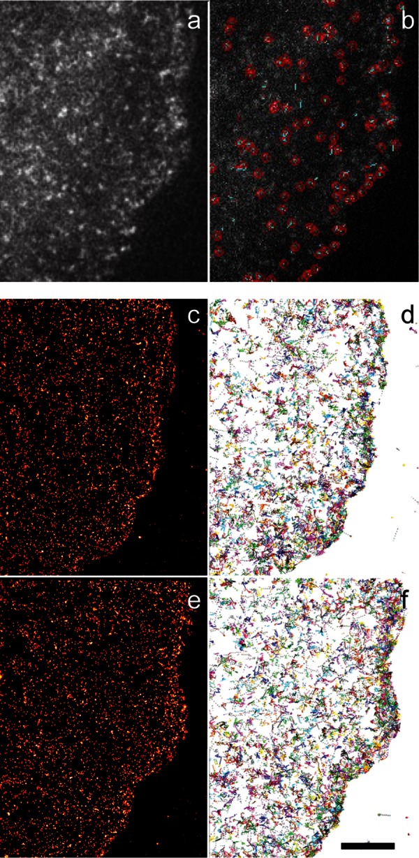 FIGURE 1: