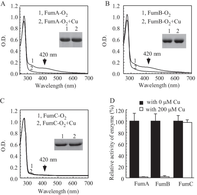 FIG 3