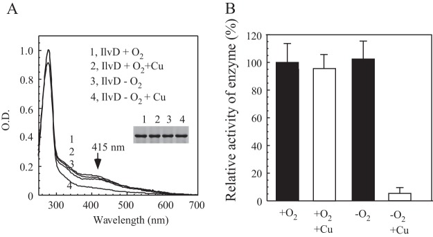 FIG 2