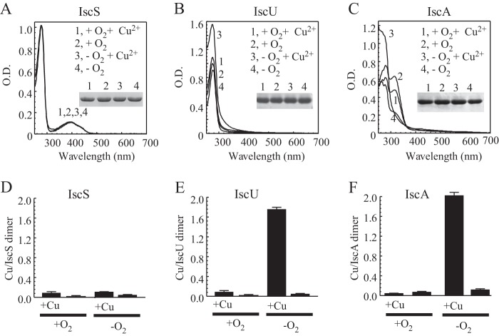 FIG 5