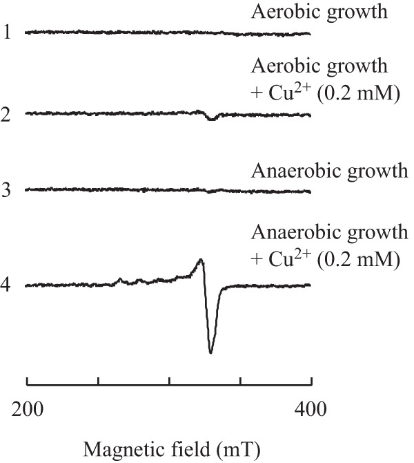 FIG 6