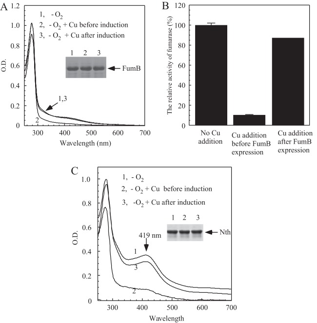 FIG 4