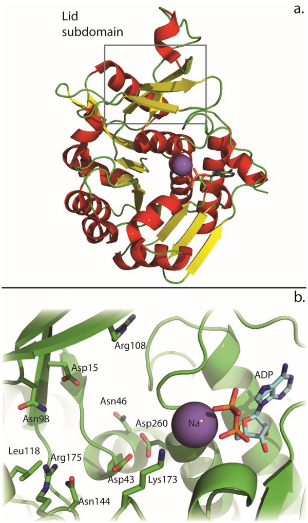 Figure 6: