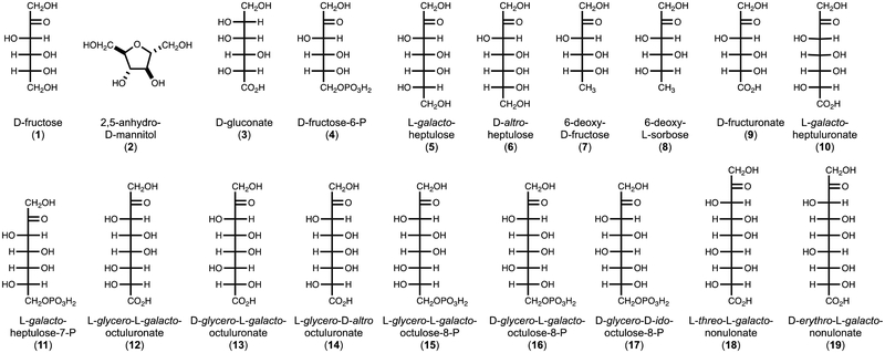 Figure 4: