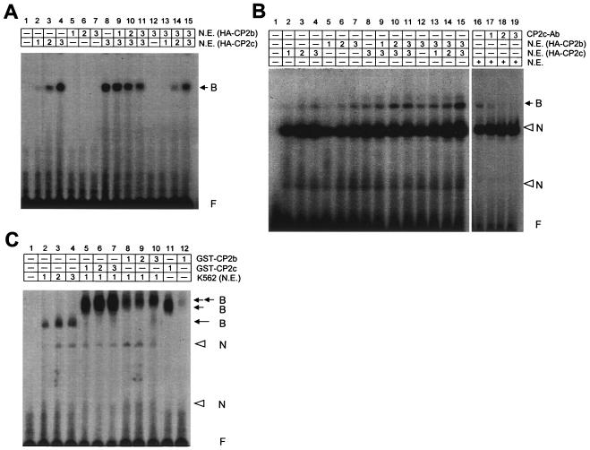 FIG. 7.