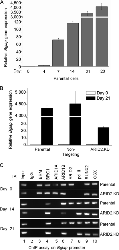 FIGURE 3.