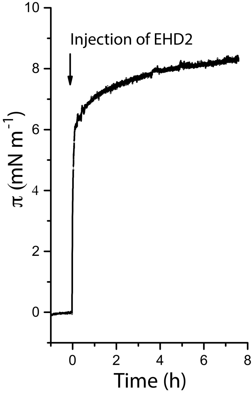 Fig. S1.