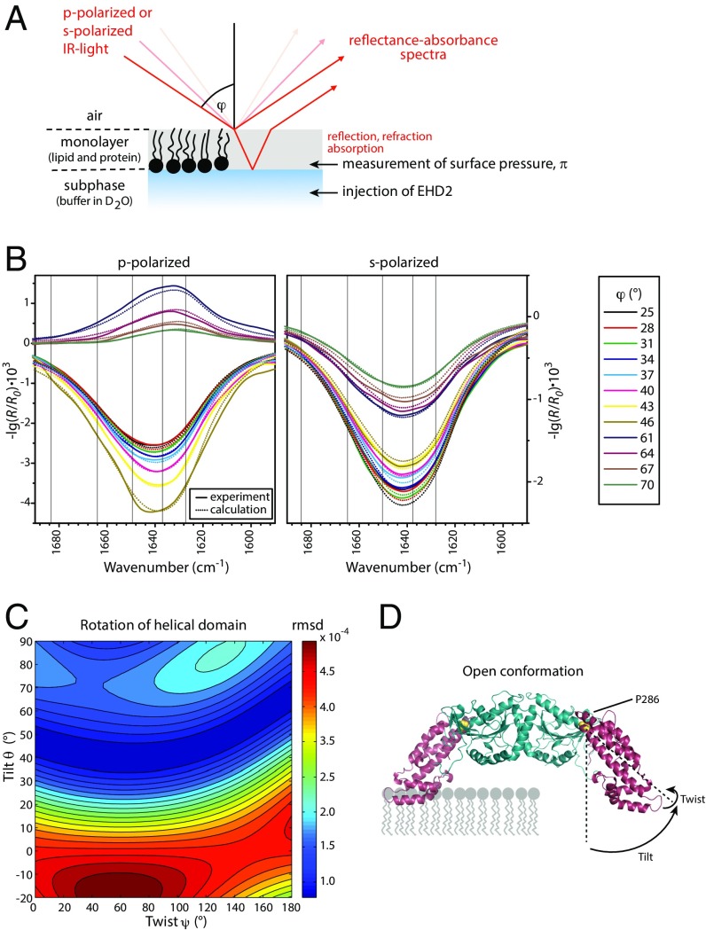 Fig. 3.