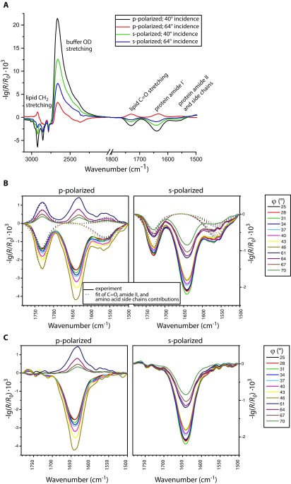 Fig. S3.