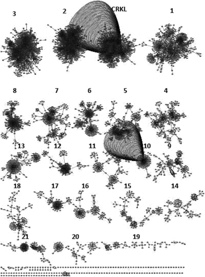 Fig. 2