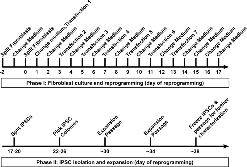 Figure 1: